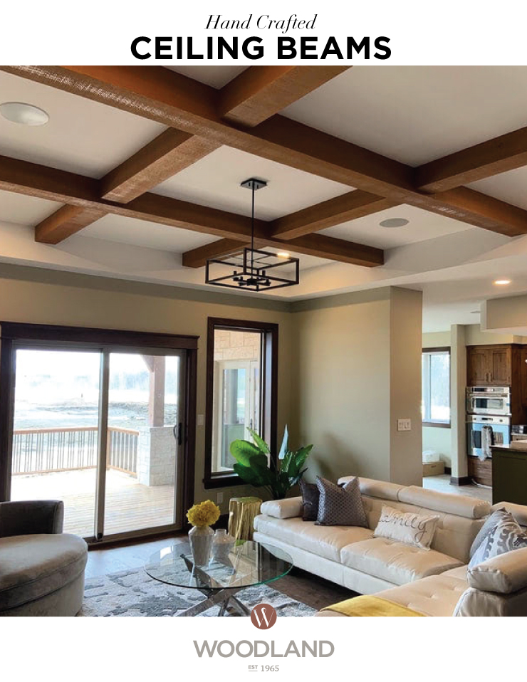 Ceiling Beams Brochure Image