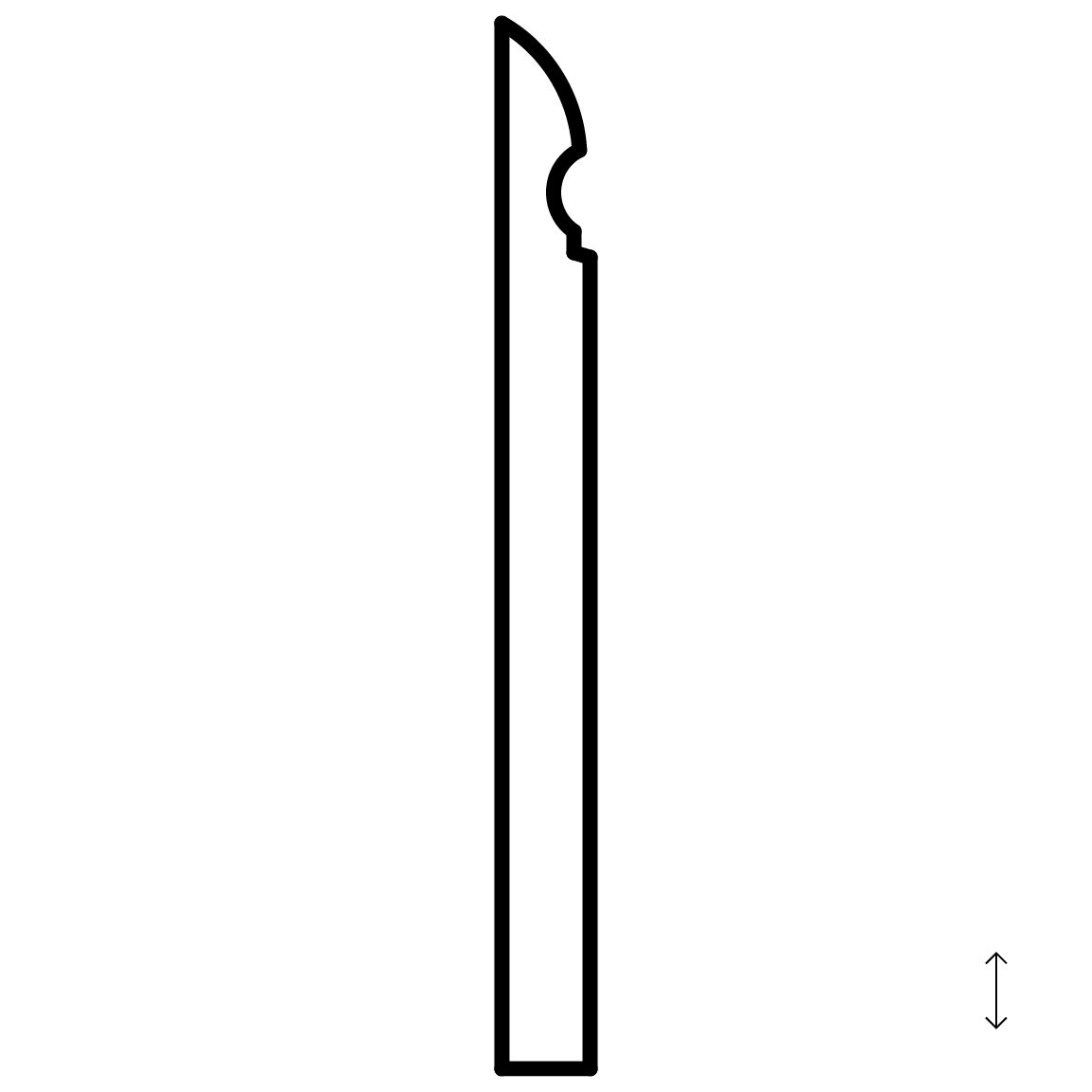 CBIB1316