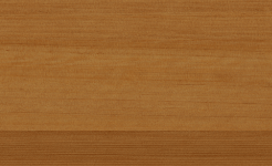 Clear Cedar