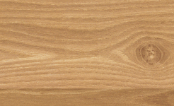 Hickory
