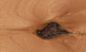 Knotty Alder